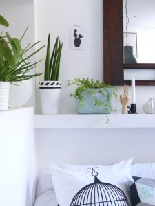 urbanjunglebloggers, plantshelfie