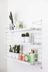 urbanjunglebloggers, plantshelfie