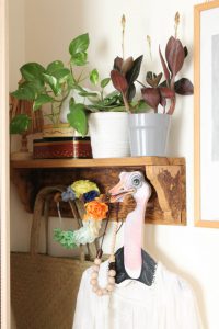 urbanjunglebloggers, plantshelfie