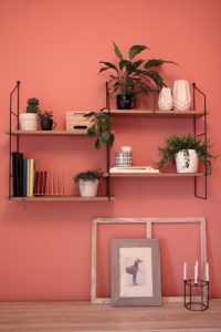 urbanjunglebloggers, plantshelfie