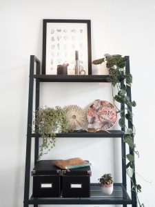 urbanjunglebloggers, plantshelfie