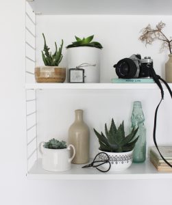 urbanjunglebloggers, plantshelfie