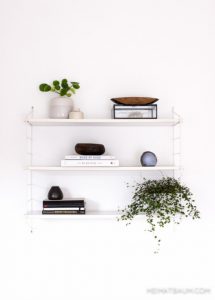 urbanjunglebloggers, plantshelfie