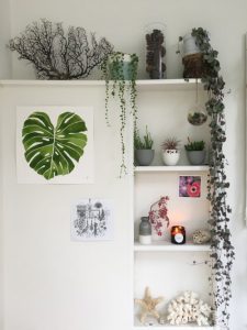 urbanjunglebloggers, plantshelfie