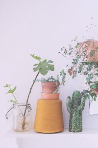 urbanjunglebloggers, plantshelfie