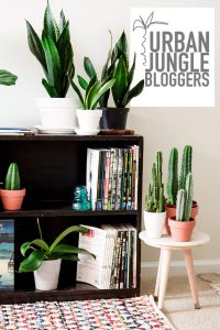 urbanjunglebloggers, plantshelfie