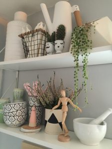 urbanjunglebloggers, plantshelfie