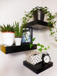 urbanjunglebloggers, plantshelfie