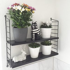 urbanjunglebloggers, plantshelfie