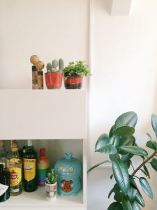 urbanjunglebloggers, plantshelfie