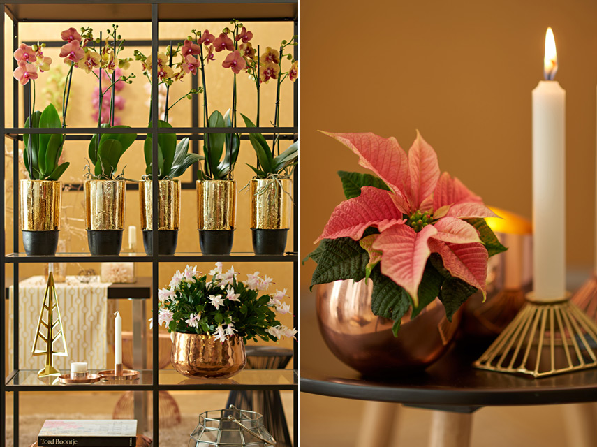 Urban Jungle Bloggers Festive Decor Ideas with plants - Eco Luxe