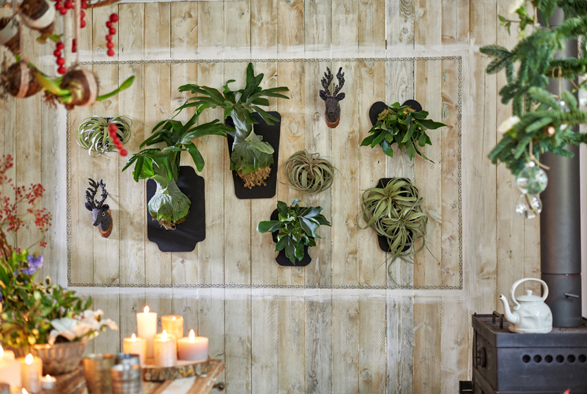 Urban Jungle Bloggers Festive Decor Ideas with plants - Unexpected Wild