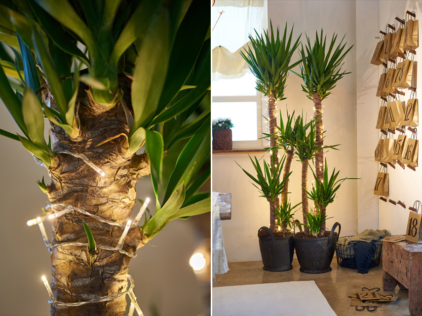 Urban Jungle Bloggers Festive Decor Ideas with plants - Unexpected Wild