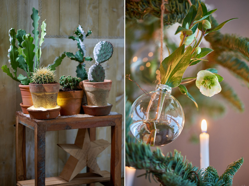 Urban Jungle Bloggers Festive Decor Ideas with plants - Unexpected Wild