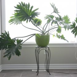 Urban Jungle Bloggers - Planty Wishes for 2016