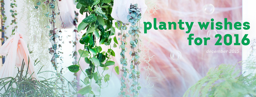 Urban Jungle Bloggers - Planty Wishes for 2016