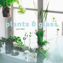 Urban Jungle Bloggers in April 2016: Plants & Glass