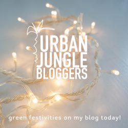 Urban Jungle Bloggers monthly topic