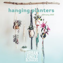 Urban Jungle Bloggers monthly topic