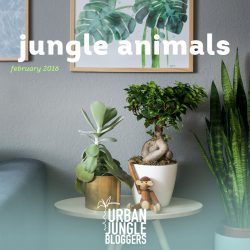 Urban Jungle Bloggers monthly topic