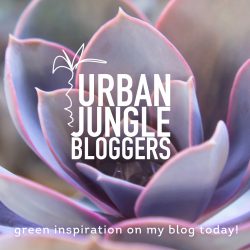 Urban Jungle Bloggers monthly topic