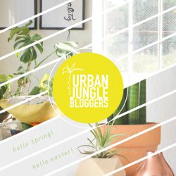 Urban Jungle Bloggers monthly topic