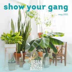 Urban Jungle Bloggers monthly topic