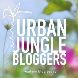 Urban Jungle Bloggers monthly topic