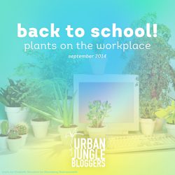 Urban Jungle Bloggers monthly topic