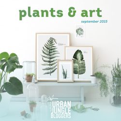 Urban Jungle Bloggers monthly topic