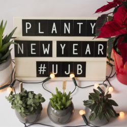 Urban Jungle Bloggers - Planty Wishes for 2016