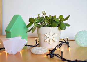 urbanjunglebloggers, planty wishes