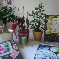 Urban Jungle Bloggers - Planty Wishes for 2016