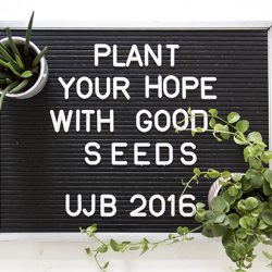urbanjunglebloggers, planty wishes