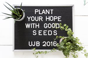 urbanjunglebloggers, planty wishes