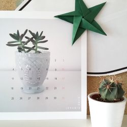 Urban Jungle Bloggers - Planty Wishes for 2016