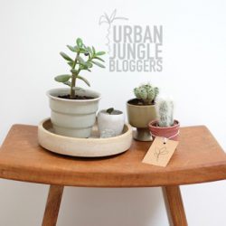 urbanjunglebloggers, planty wishes