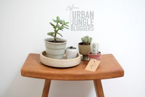 urbanjunglebloggers, planty wishes