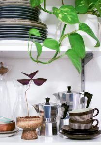 urbanjunglebloggers, kitchen greens