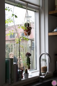 urbanjunglebloggers, kitchen greens