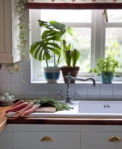 Urban Jungle Bloggers - Kitchen Greens