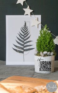 urbanjunglebloggers, planty wishes