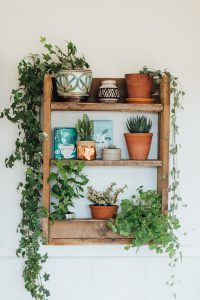 urbanjunglebloggers, kitchen greens