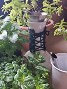 urbanjunglebloggers, kitchen greens