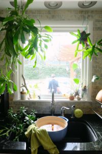 urbanjunglebloggers, kitchen greens