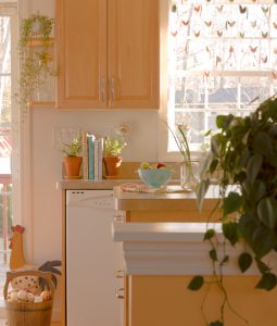 urbanjunglebloggers, kitchen greens