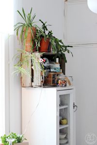 urbanjunglebloggers, kitchen greens