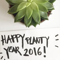 urbanjunglebloggers, planty wishes