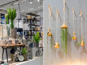 Urban Jungle Bloggers - Plant Trends from Maison & Objet 2016 in Paris