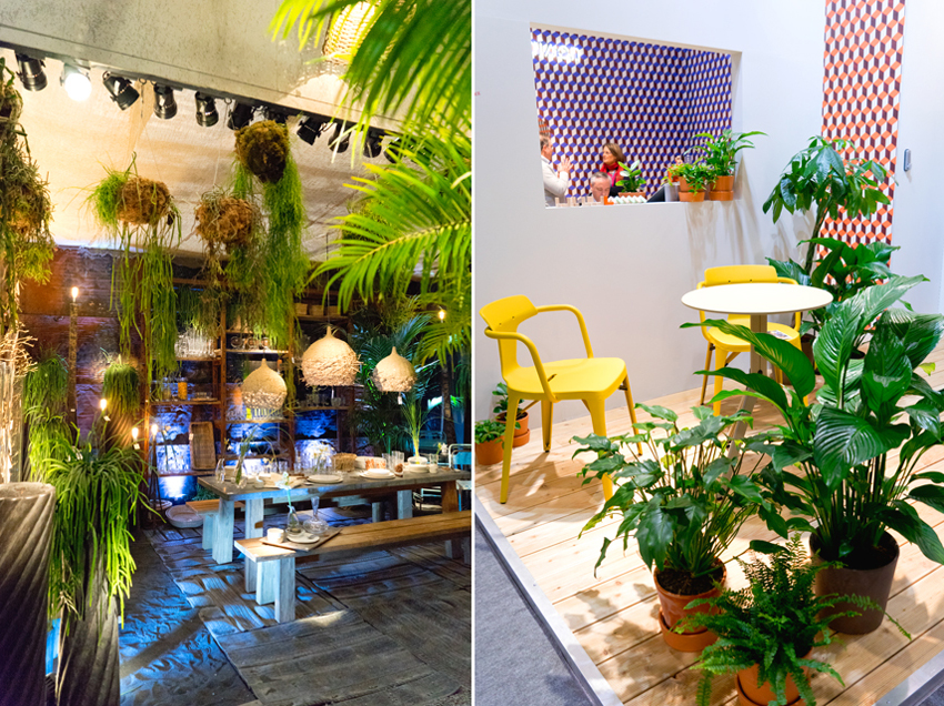 Urban Jungle Bloggers - Plant trends from Maison & Objet Paris 2016
